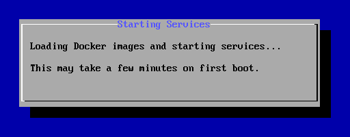 Starting the services